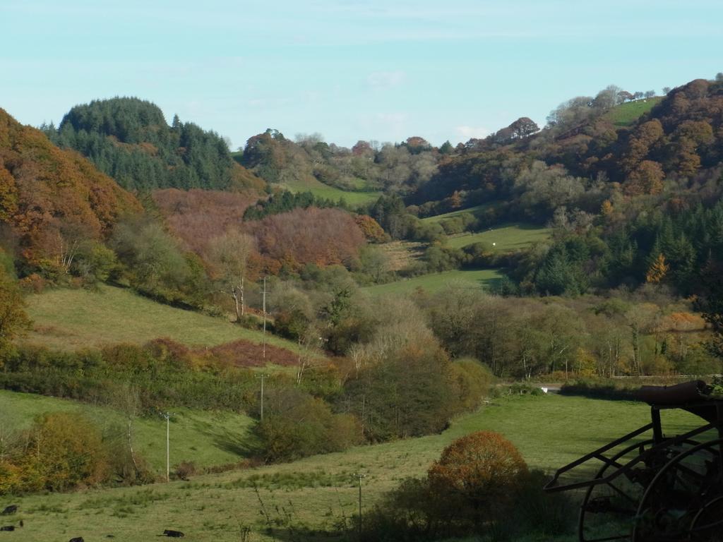 Rhiwiau Self Catering Villa Carmarthen Esterno foto