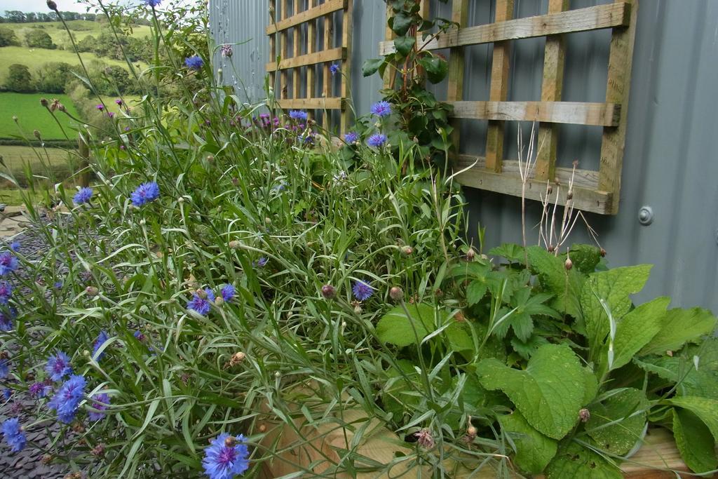 Rhiwiau Self Catering Villa Carmarthen Esterno foto
